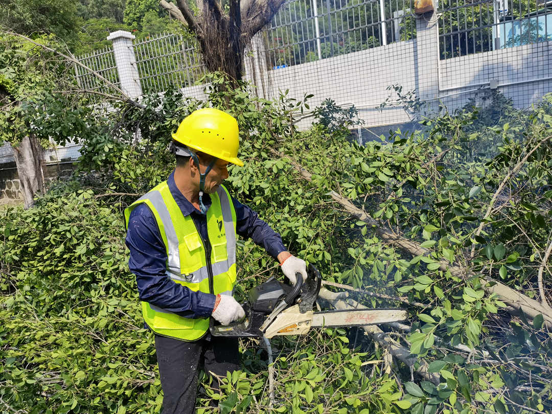 168体育·(中国)官方网站园林绿化公司工人的日常养护修剪工作